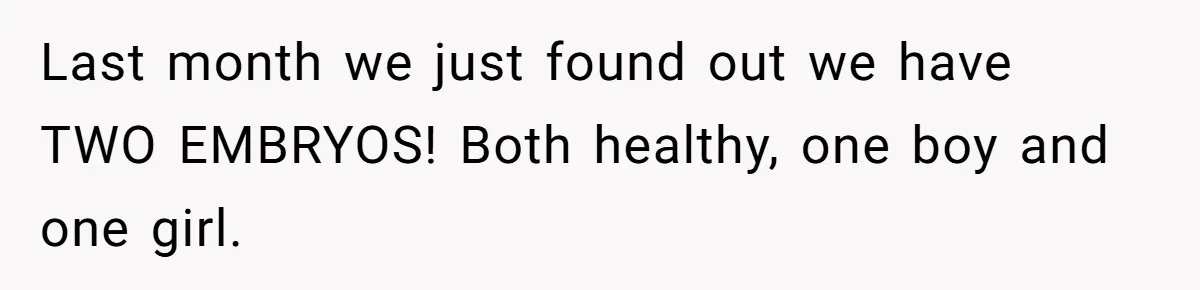 Last month we just found out we have TWO EMBRYOS! Both healthy, one boy and one girl.