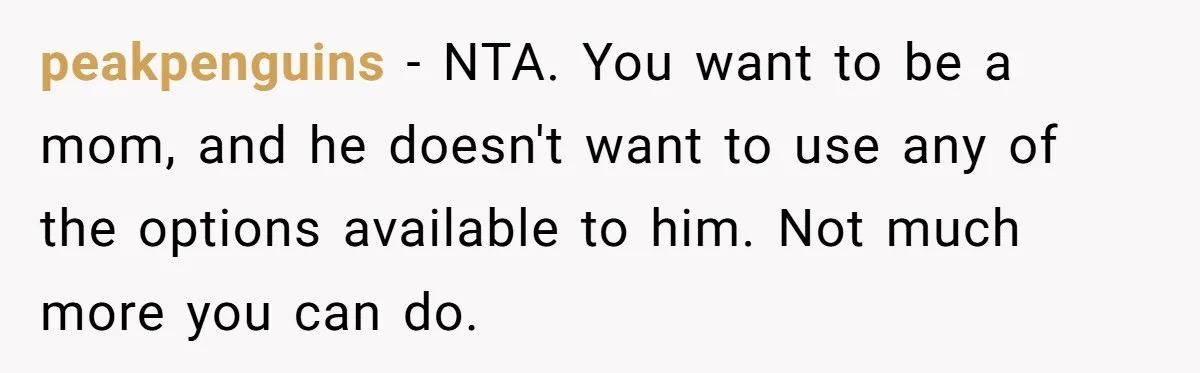 peakpenguins − NTA. You want to be a mom, and he doesn't want to use any of the options available to him. Not much more you can do.