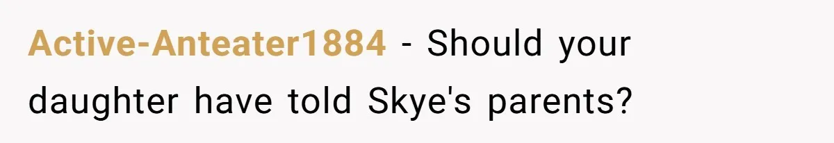 Active-Anteater1884 − Should your daughter have told Skye's parents?