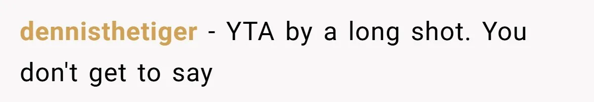 dennisthetiger − YTA by a long shot. You don't get to say
