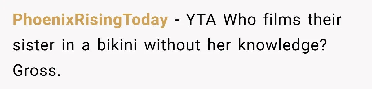 PhoenixRisingToday − YTA Who films their sister in a bikini without her knowledge? Gross.