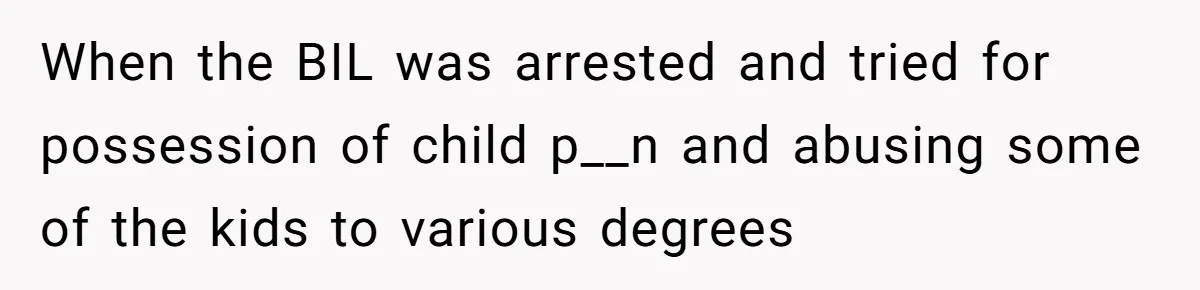 When the BIL was arrested and tried for possession of child p__n and abusing some of the kids to various degrees