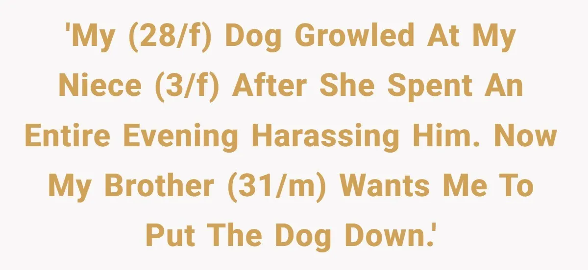 'My (28/f) dog growled at my niece (3/f) after she spent an entire evening harassing him. Now my brother (31/m) wants me to put the dog down.'
