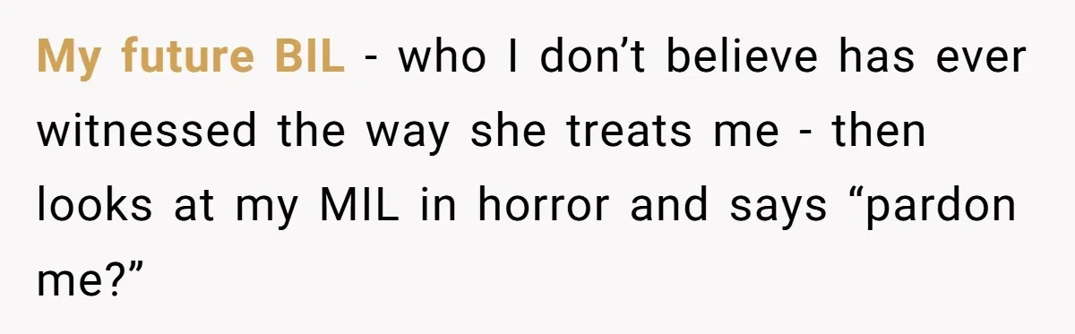 My future BIL - who I don’t believe has ever witnessed the way she treats me - then looks at my MIL in horror and says “pardon me?”
