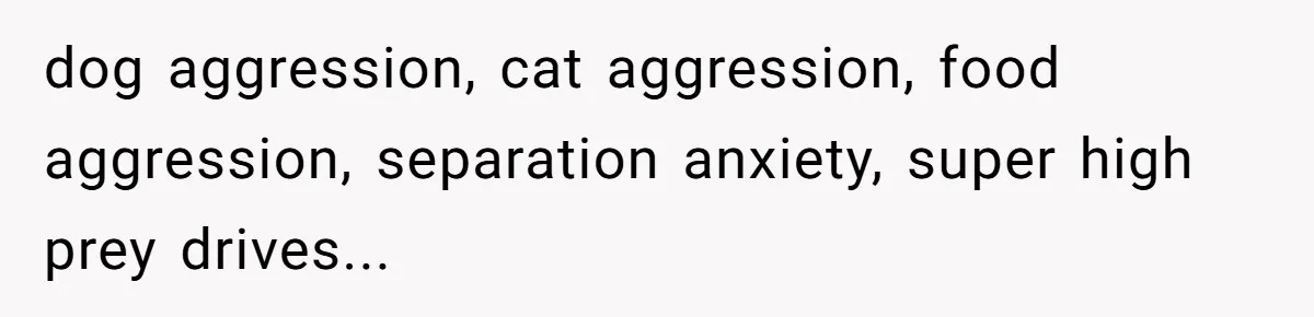 dog aggression, cat aggression, food aggression, separation anxiety, super high prey drives...