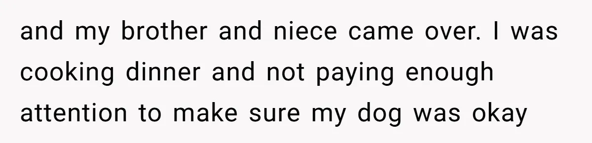 and my brother and niece came over. I was cooking dinner and not paying enough attention to make sure my dog was okay