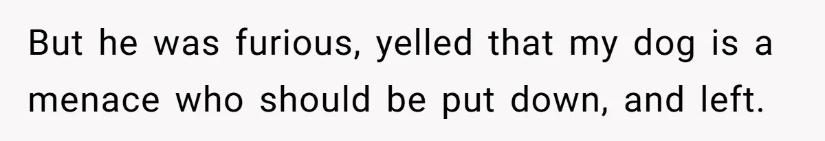 But he was furious, yelled that my dog is a menace who should be put down, and left.