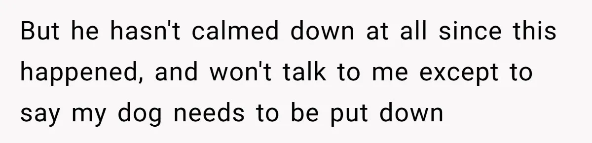 But he hasn't calmed down at all since this happened, and won't talk to me except to say my dog needs to be put down