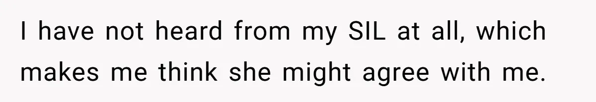 I have not heard from my SIL at all, which makes me think she might agree with me.