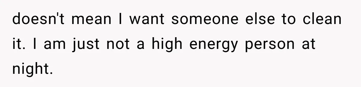 doesn't mean I want someone else to clean it. I am just not a high energy person at night.