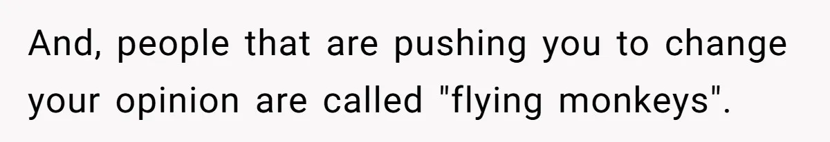 And, people that are pushing you to change your opinion are called "flying monkeys".
