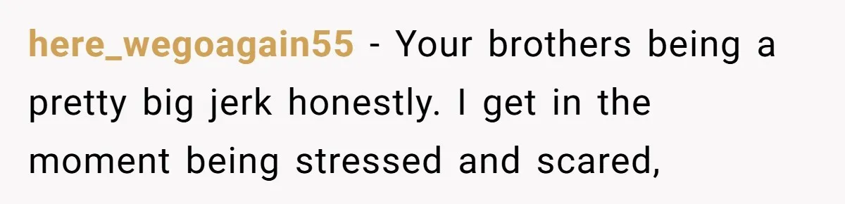 here_wegoagain55 − Your brothers being a pretty big jerk honestly. I get in the moment being stressed and scared,