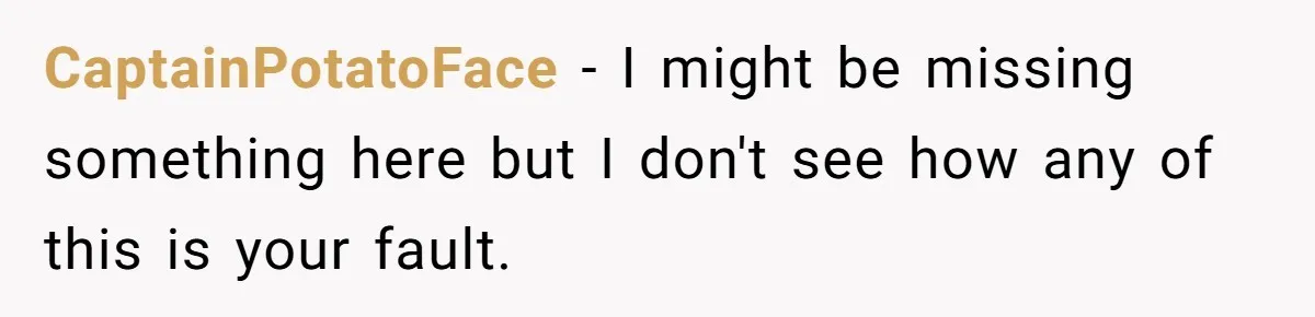 CaptainPotatoFace − I might be missing something here but I don't see how any of this is your fault.