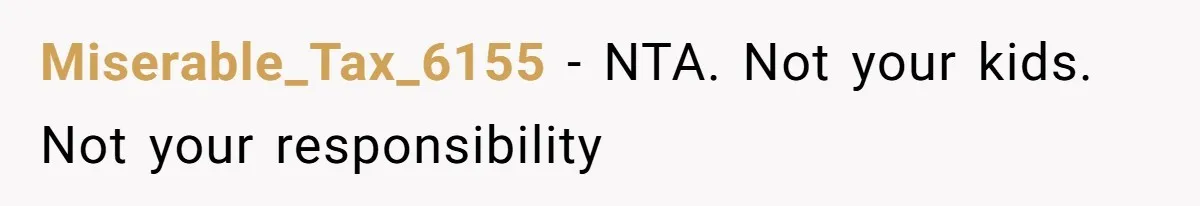 Miserable_Tax_6155 − NTA. Not your kids. Not your responsibility