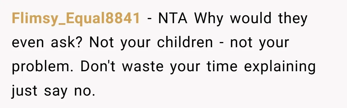 Flimsy_Equal8841 − NTA Why would they even ask? Not your children - not your problem. Don't waste your time explaining just say no.