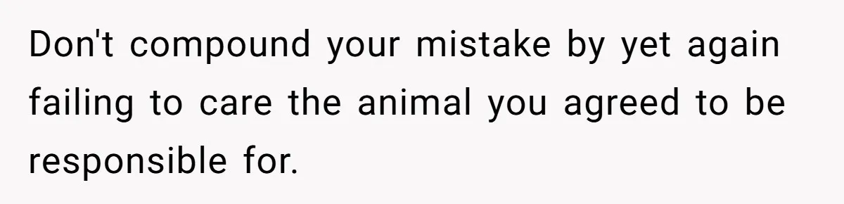 Don't compound your mistake by yet again failing to care the animal you agreed to be responsible for.