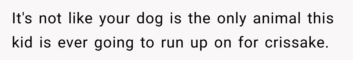 It's not like your dog is the only animal this kid is ever going to run up on for crissake.