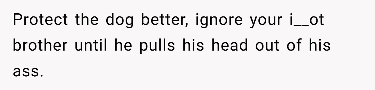 Protect the dog better, ignore your i__ot brother until he pulls his head out of his ass.