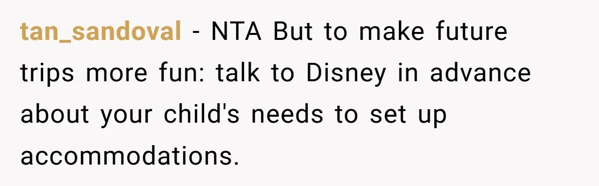 tan_sandoval − NTA But to make future trips more fun: talk to Disney in advance about your child's needs to set up accommodations.