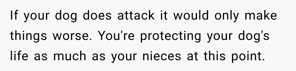 If your dog does attack it would only make things worse. You're protecting your dog's life as much as your nieces at this point.