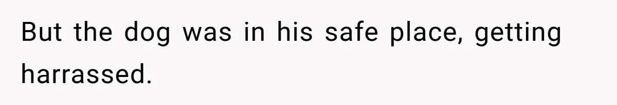 But the dog was in his safe place, getting harrassed.