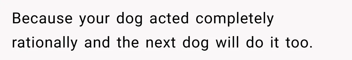 Because your dog acted completely rationally and the next dog will do it too.