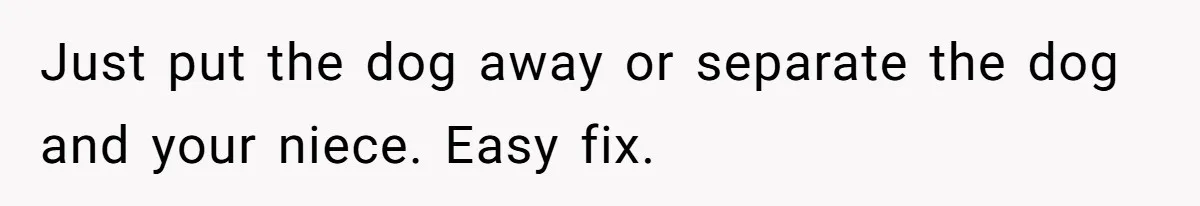 Just put the dog away or separate the dog and your niece. Easy fix.