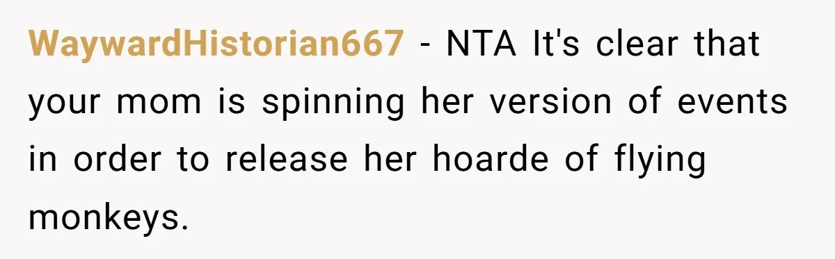WaywardHistorian667 − NTA It's clear that your mom is spinning her version of events in order to release her hoarde of flying monkeys.