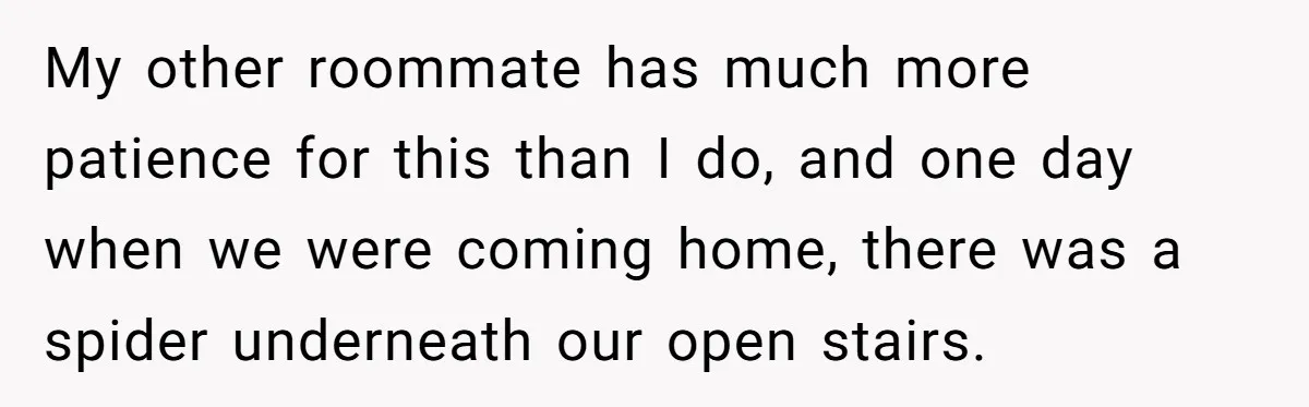 My other roommate has much more patience for this than I do, and one day when we were coming home, there was a spider underneath our open stairs.