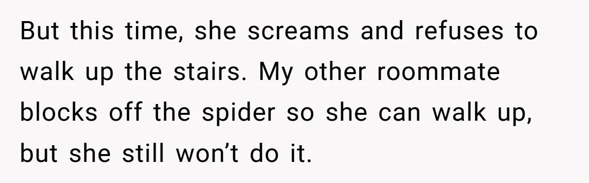 But this time, she screams and refuses to walk up the stairs. My other roommate blocks off the spider so she can walk up, but she still won’t do it.