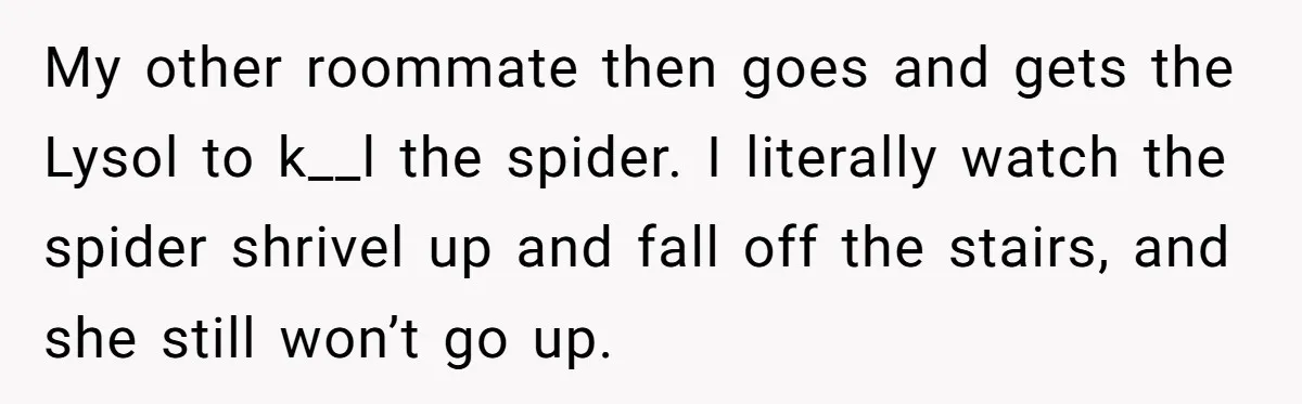My other roommate then goes and gets the Lysol to k__l the spider. I literally watch the spider shrivel up and fall off the stairs, and she still won’t go...