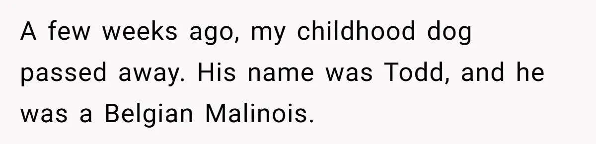 A few weeks ago, my childhood dog passed away. His name was Todd, and he was a Belgian Malinois.