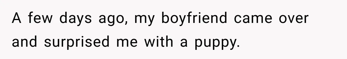 A few days ago, my boyfriend came over and surprised me with a puppy.