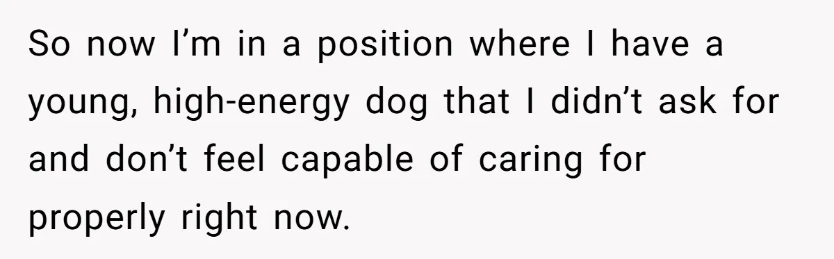So now I’m in a position where I have a young, high-energy dog that I didn’t ask for and don’t feel capable of caring for properly right now.