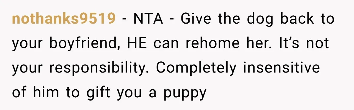nothanks9519 − NTA - Give the dog back to your boyfriend, HE can rehome her. It’s not your responsibility. Completely insensitive of him to gift you a puppy