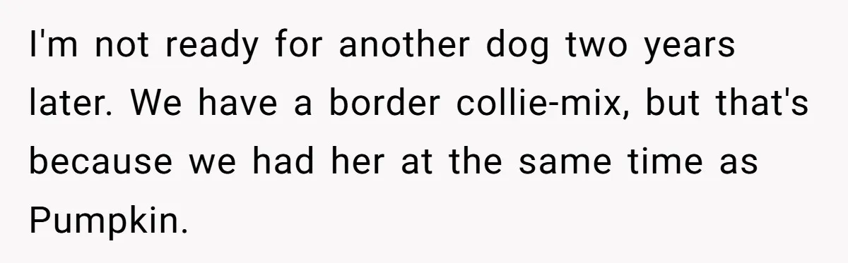 I'm not ready for another dog two years later. We have a border collie-mix, but that's because we had her at the same time as Pumpkin.