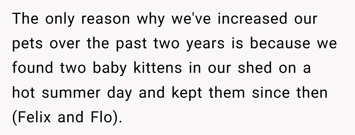 The only reason why we've increased our pets over the past two years is because we found two baby kittens in our shed on a hot summer day and kept...
