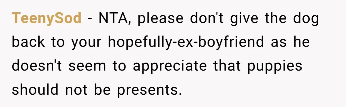 TeenySod − NTA, please don't give the dog back to your hopefully-ex-boyfriend as he doesn't seem to appreciate that puppies should not be presents.