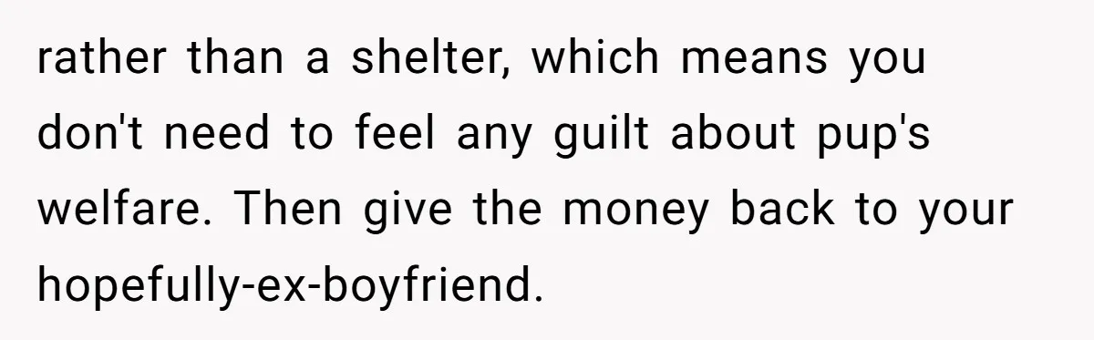 rather than a shelter, which means you don't need to feel any guilt about pup's welfare. Then give the money back to your hopefully-ex-boyfriend.