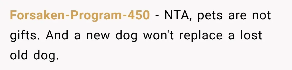 Forsaken-Program-450 − NTA, pets are not gifts. And a new dog won't replace a lost old dog.