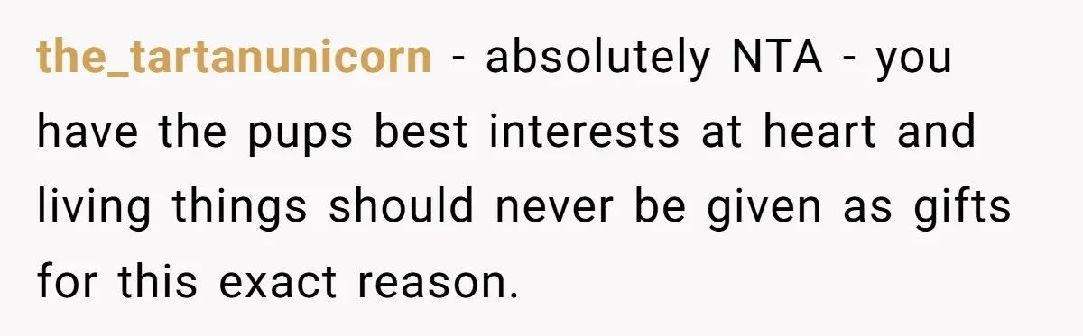 the_tartanunicorn − absolutely NTA - you have the pups best interests at heart and living things should never be given as gifts for this exact reason.