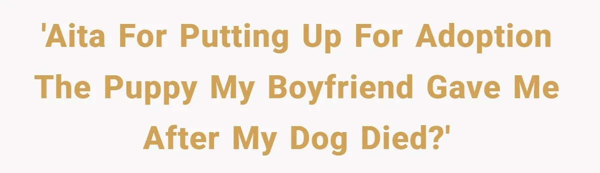 'AITA for putting up for adoption the puppy my boyfriend gave me after my dog died?'
