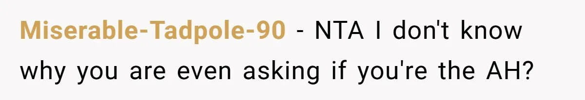 Miserable-Tadpole-90 − NTA I don't know why you are even asking if you're the AH?