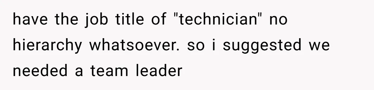 have the job title of "technician" no hierarchy whatsoever. so i suggested we needed a team leader