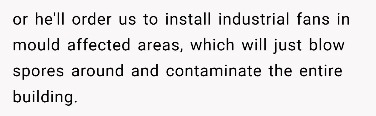 or he'll order us to install industrial fans in mould affected areas, which will just blow spores around and contaminate the entire building.