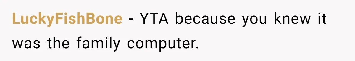 LuckyFishBone − YTA because you knew it was the family computer.
