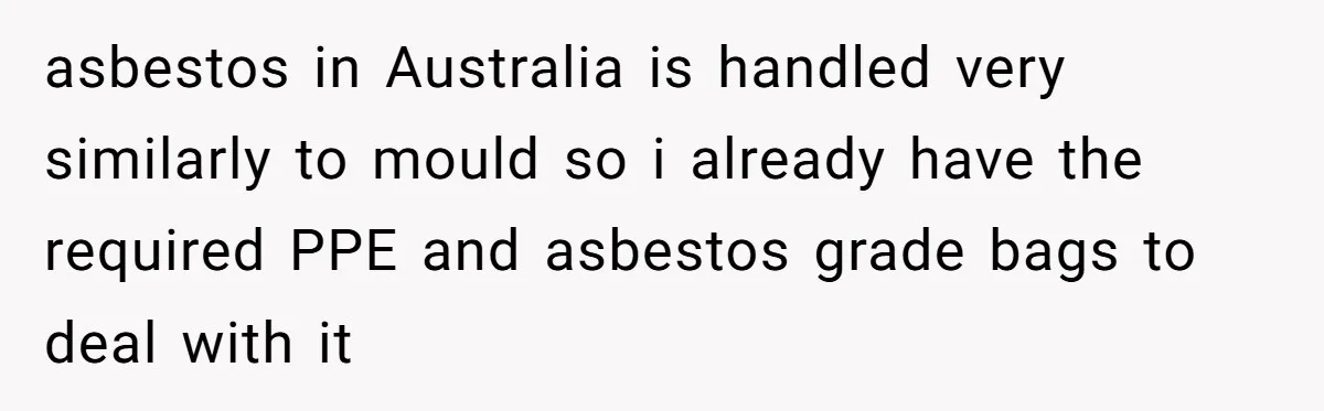 asbestos in Australia is handled very similarly to mould so i already have the required PPE and asbestos grade bags to deal with it