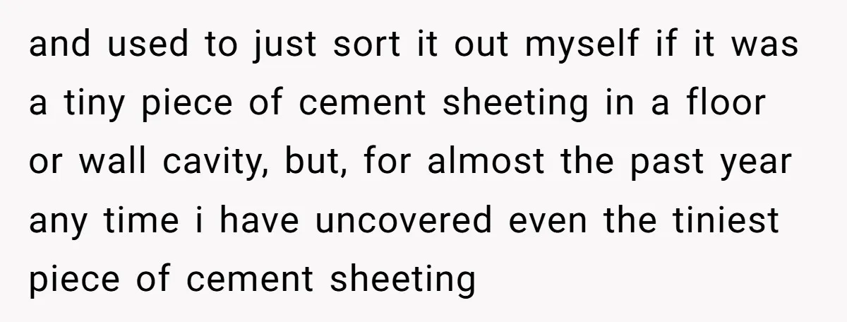 and used to just sort it out myself if it was a tiny piece of cement sheeting in a floor or wall cavity, but, for almost the past year any...