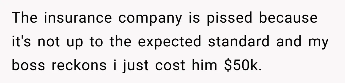 The insurance company is pissed because it's not up to the expected standard and my boss reckons i just cost him $50k.