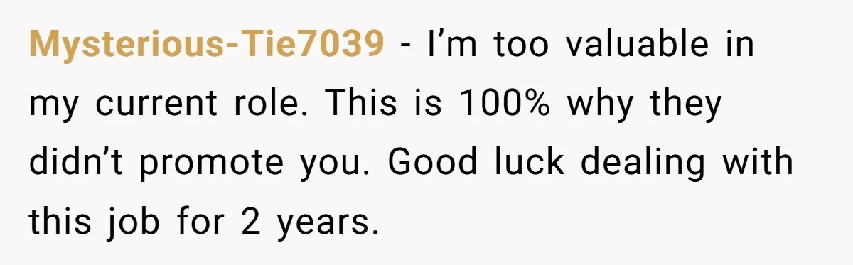 Mysterious-Tie7039 − I’m too valuable in my current role. This is 100% why they didn’t promote you. Good luck dealing with this job for 2 years.